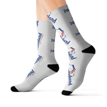 Load image into Gallery viewer, DeSantisland Ron DeSantis Florida Land of Liberty Socks