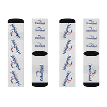 Load image into Gallery viewer, DeSantisland Ron DeSantis Florida Land of Liberty Socks