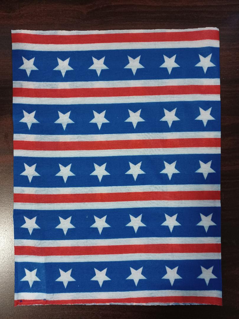 USA Patriotic American Neck Gaiter Gator Face Mask Tube Bandana