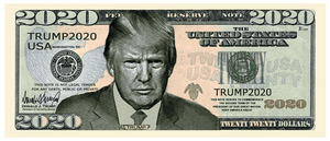 Donald Trump 2020 Serious Business Presidential Dollar Bill with Currency Holder - Trump Mug